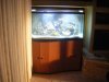 Fish Tank 006.jpg
