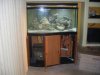 Fish Tank 007.jpg