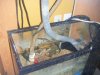 Sump 1.JPG