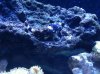 IMG_0182.jpg