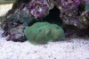 DSC02996.JPG