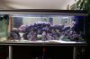 DSC02998.JPG