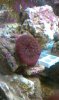 IMAG0415.jpg