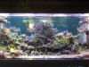 Dave's Tank2.jpg