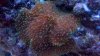 2012-02-09_23-28-10_515.jpg