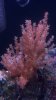 2012-02-09_23-28-21_440.jpg