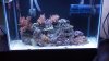 2012-02-09_23-31-13_950.jpg
