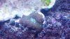 2012-02-11_22-23-32_621.jpg