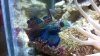 2012-02-16_21-20-41_237.jpg