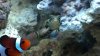 2012-01-23_11-32-56_927.jpg