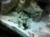 IMG_20120218_112540.jpg