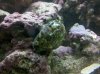 IMG_20120218_203921.jpg