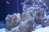IMG_4416.jpg