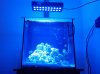 2012-02-21_22-13-36_418.jpg