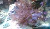 IMAG0449.jpg