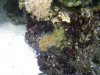 29 gal shot 2.jpg