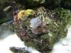 29 gal shot 3.jpg