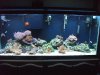 fts 001.JPG