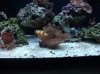 fts 005.JPG