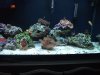 fts 006.JPG