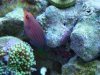 DSC01906.jpg