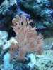 DSC01890.jpg