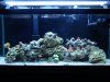 DSC01854.jpg