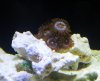20120226_144556.jpg