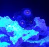 20120226_144945.jpg