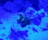 20120226_151305.jpg