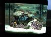 Old tank.jpg