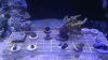 uploadfromtaptalk1330766178145.jpg