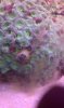 IMAG0453.jpg