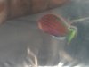 uploadfromtaptalk1330962549450.jpg