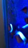 CameraZOOM-20120315181856047.jpg