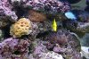 DSC03033.JPG