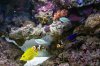 DSC03034.JPG