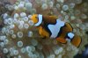 DSC03046.JPG
