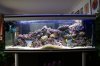 DSC03050.JPG