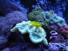 IMG_0024.JPG