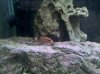 IMG_20120324_203210.jpg