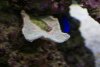 DSC03054.JPG