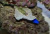 DSC03056.JPG