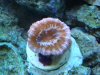 DSC01977.jpg