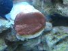DSC01975.jpg