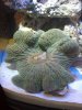 2012-03-29_13-28-02_3.jpg