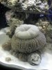 2012-03-29_01-32-11_831.jpg