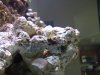 2012-04-10 09.26.57.jpg