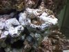2012-04-10 09.26.34.jpg