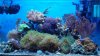 fts 012 (800x454).jpg